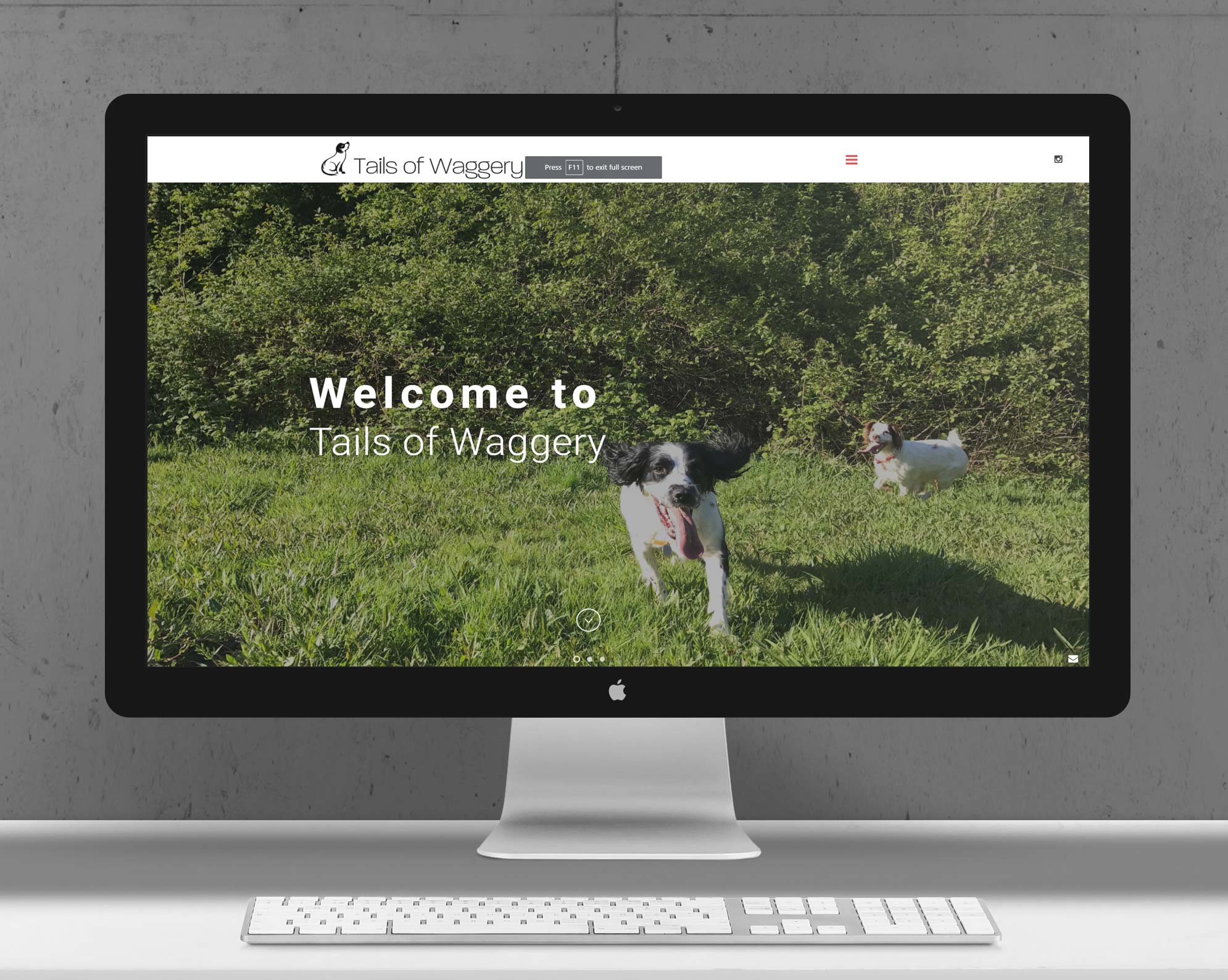 Tails Of Waggery | Responsive Website Design
