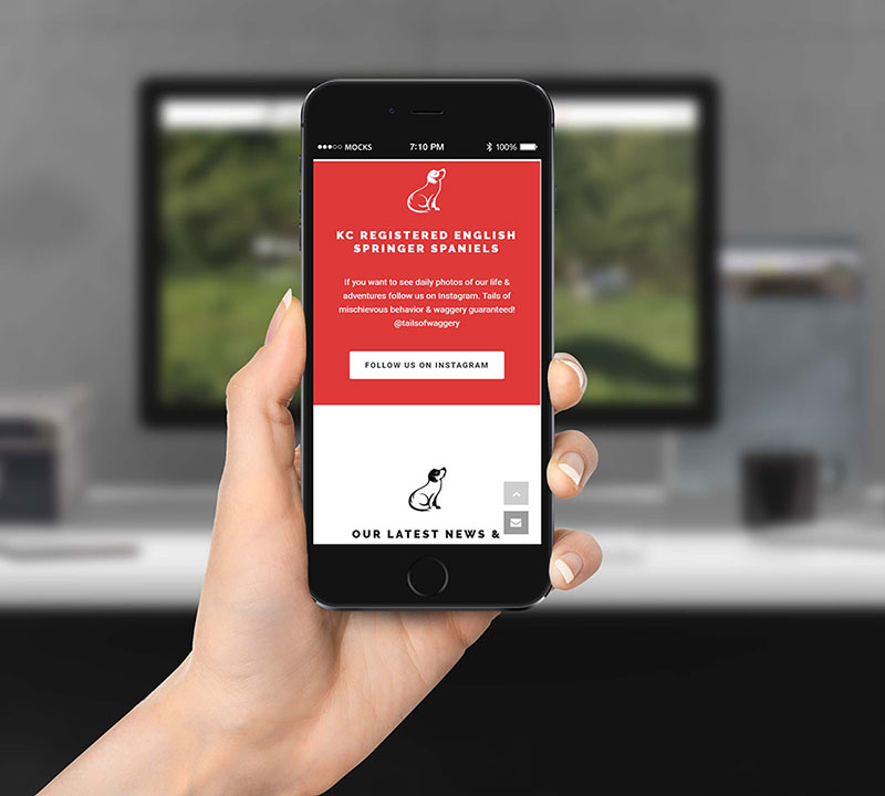 Tails Of Waggery | Mobile Friendly Website Design